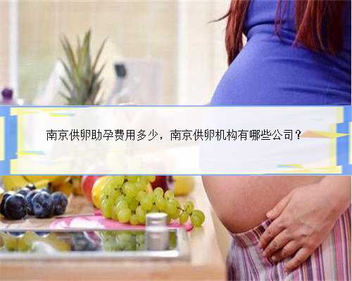 南京供卵助孕费用多少，南京供卵机构有哪些公司？