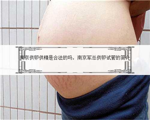 南京供卵供精是合法的吗，南京军总供卵试管的简介