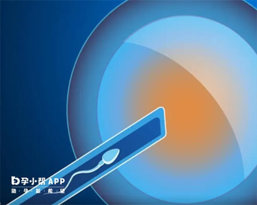 无锡多囊做试管成功率怎么样!无锡治疗多囊哪家医院好!