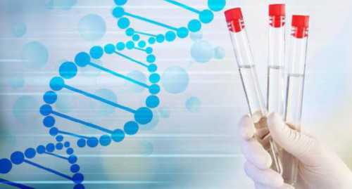 无锡失独供卵群,无锡三代试管助孕医院成功率怎么样-无锡妇幼能做三代试管婴