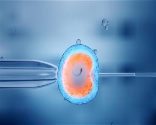 无锡试管婴儿成功率最高的医院是哪一家_无锡有做试管婴儿的医院吗