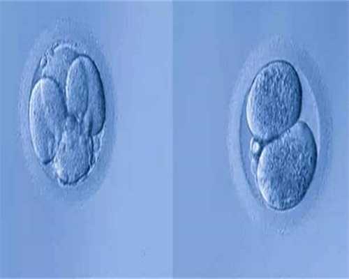 供卵l成功率-供卵生子中心_试管代孕多少钱双胞胎-有几家做试管供卵试管_做试