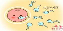 南京私人想找个供卵试管，2022详细南京试管婴儿流程