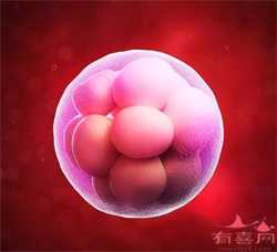 南京最大供卵哪家好，2022年南京军区南京总医院做试管婴儿成功率高吗？