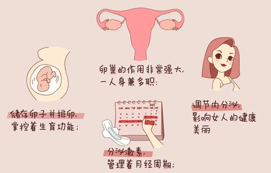 南京正规试管供卵机构，2022南京试管婴儿医院排名
