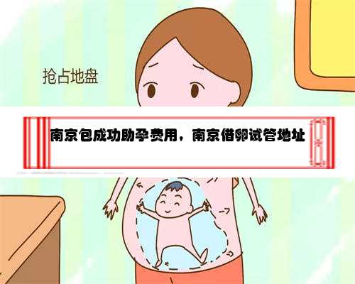 南京包成功助孕费用，南京借卵试管地址