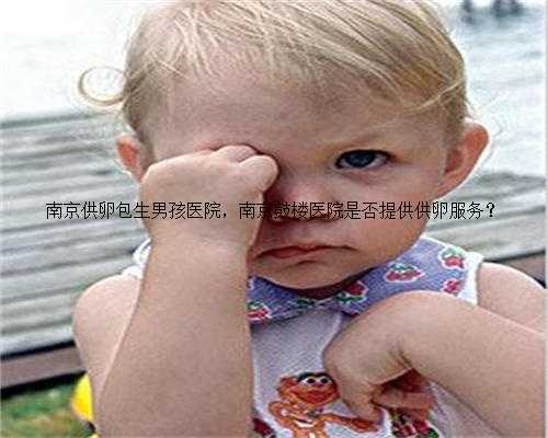 南京供卵包生男孩医院，南京鼓楼医院是否提供供卵服务？
